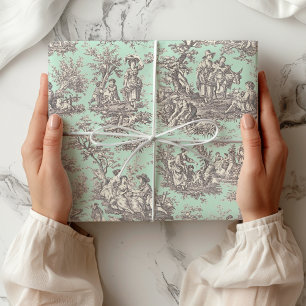 Elegantes Schwarz-Minz-French-Toile-Landröschen Geschenkpapier