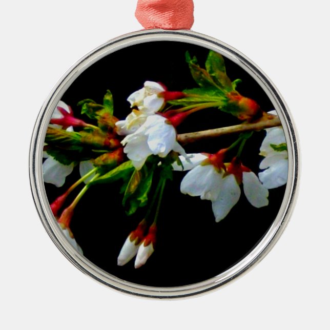 Elegantes, Schwarz-weiß blühendes weißes Blossom Silbernes Ornament (Vorne)