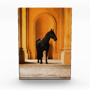 Elegantes schwarzes Pferd in goldenem Torbogen Fotoblock