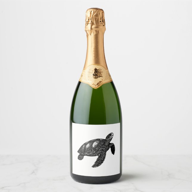 Elegantes Schwimmen Alte Wasserschildkröte Kopie (Vorderseite)