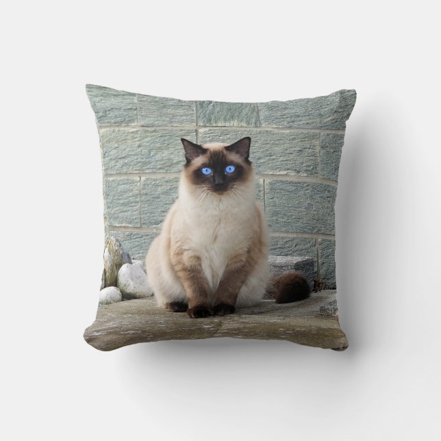 Elegantes Siamese Cat Foto Kissen (Vorderseite)