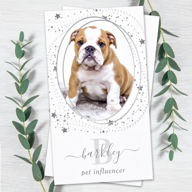 Elegantes Silver Stars Foto Social Media Monogram Visitenkarte (Von Creator hochgeladen)