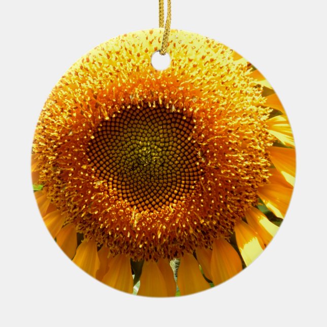 Elegantes Sonnenblumen-Foto Keramik Ornament (Vorne)