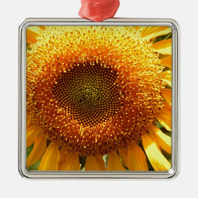 Elegantes Sonnenblumen-Foto Silbernes Ornament (Vorne)