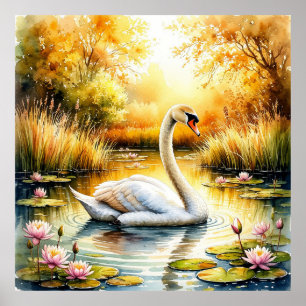 Elegantes Swan Gliding im ruhigen Teich Poster