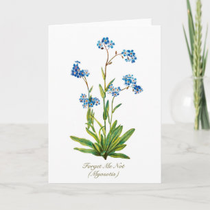 Elegantes, vintage-botanisches Vergissmeinnicht-Bl Feiertagskarte