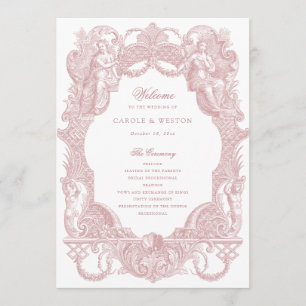 Elegantes Vintages Barockrahmen Dusty Rose Toile Programm