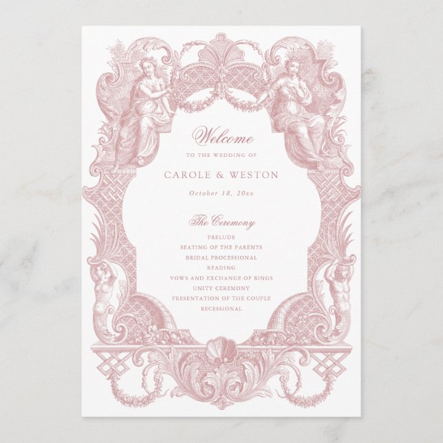 Elegantes Vintages Barockrahmen Dusty Rose Toile Programm (Vorderseite)
