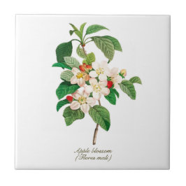 Elegantes Vintages Botanisches Apple Blossom Fliese