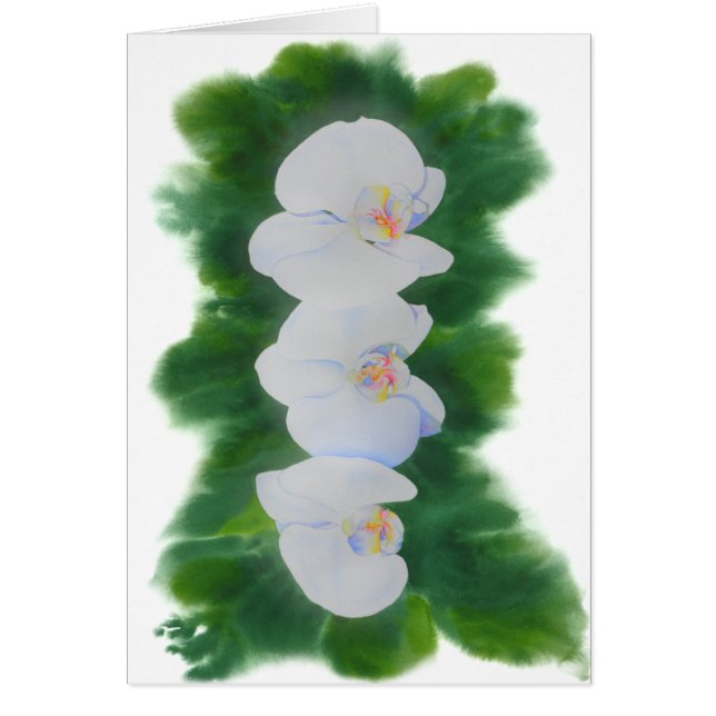 Elegantes, weißes Aquarell-Orchideenbild (Vorne)