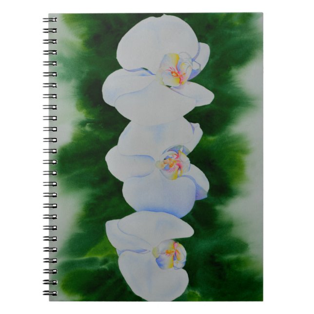 Elegantes, weißes Aquarell-Orchideenbild Notizblock (Vorderseite)