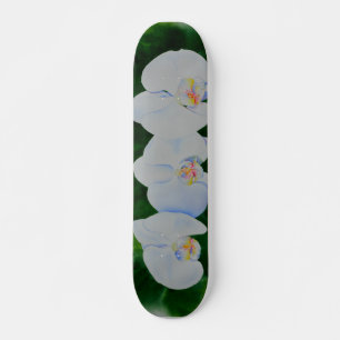 Elegantes, weißes Aquarell-Orchideenbild Skateboard