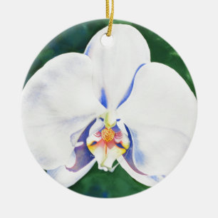 Elegantes weißes Orchideengemälde Keramik Ornament