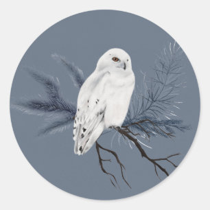 Elegantes weißes Owl am Holly Limb Runder Aufkleber