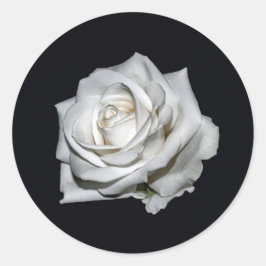 Elegantes Weißrosen-Foto Runder Aufkleber
