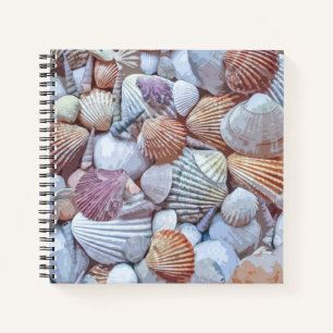 Elegantes White Seashells Artwork   Notebook Notizbuch