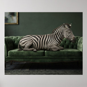 Elegantes Zebra auf grünem Veloursofa Poster