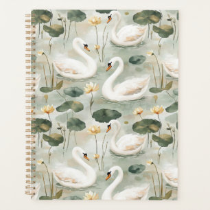 Élégants cygnes