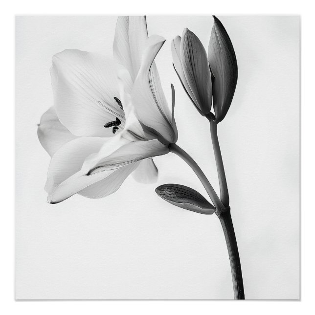 Eleganz Florale in Schwarz-Weiß Poster (Vorderseite)