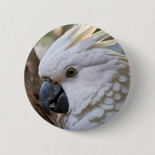 Eleganz in Weiß: Das majestätische Aussie Cockatoo Button