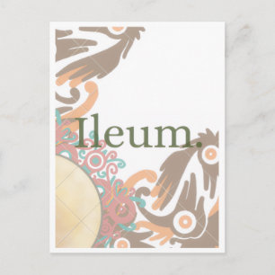 Eleganz, verschmolzen mit Kultur, ausstrahlend. Postkarte