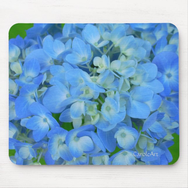 Elektrische blaue Hydrangeas Mousepad (Vorne)