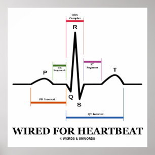 Elektrokardiogramm (EKG/EKG), verkabelt für den He Poster