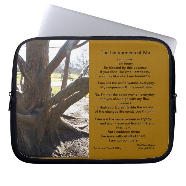 Elektronik-Fall Laptopschutzhülle (Vorderseite)