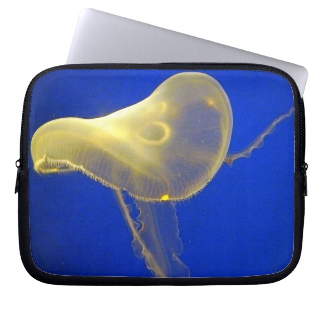 Elektronik-Tasche des Wasser-Schiffs-2 Laptopschutzhülle (Vorderseite)