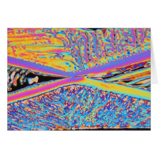 Elemente/Erbium