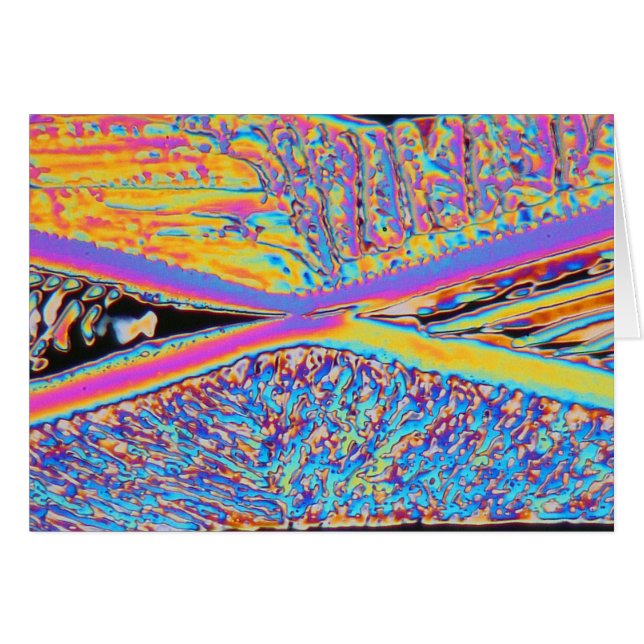 Elemente/Erbium (Vorderseite (Horizontal))