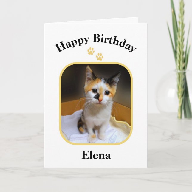 Elena Calico Kitten Happy Birthday Karte (Vorderseite)