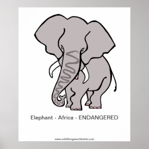 Elephant - affiche