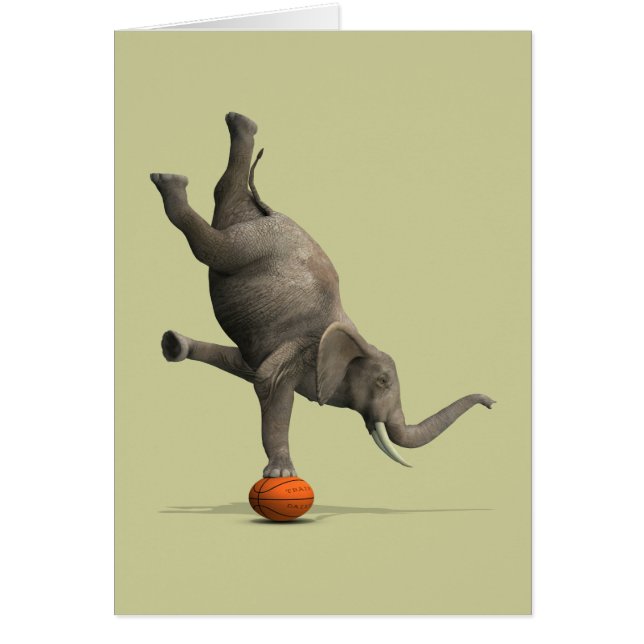 Eléphant artistique (Devant)