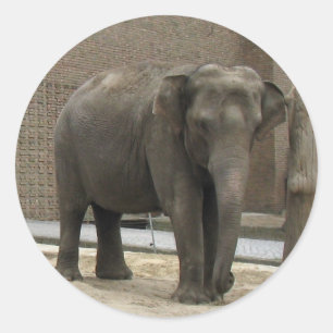ELEPHANT-Aufkleber Runder Aufkleber