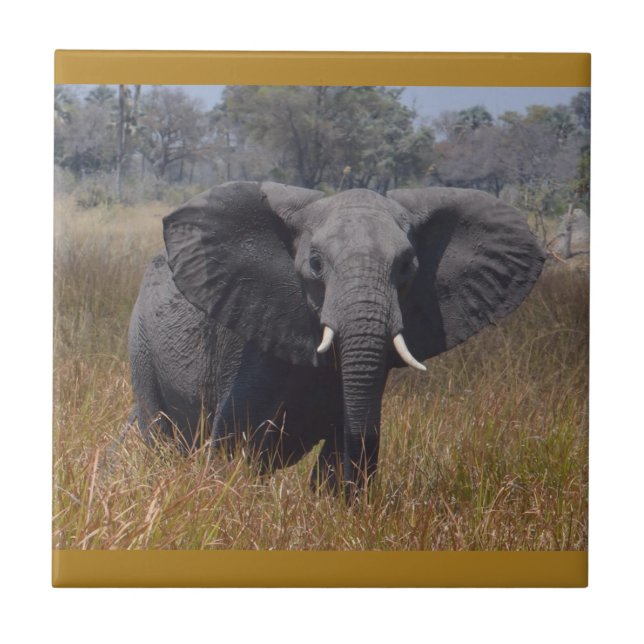 Elephant Aware, Kenya. Carreau en céramique (Devant)