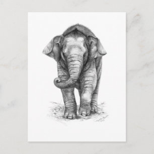 Elephant Baby Design von Schukina G046 Postkarte