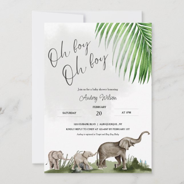 Elephant Baby Shower Twin Boys Baby Einladung (Vorderseite)