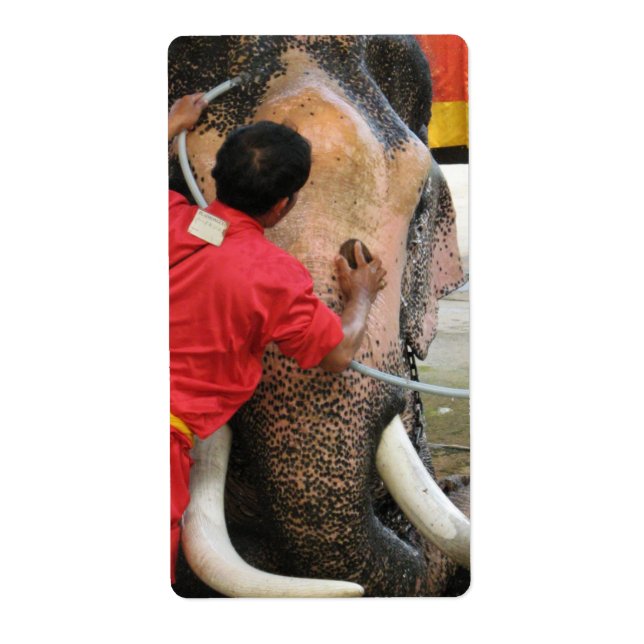 Elephant Bathtime ... Ayutthaya, Thailand (Vorne)