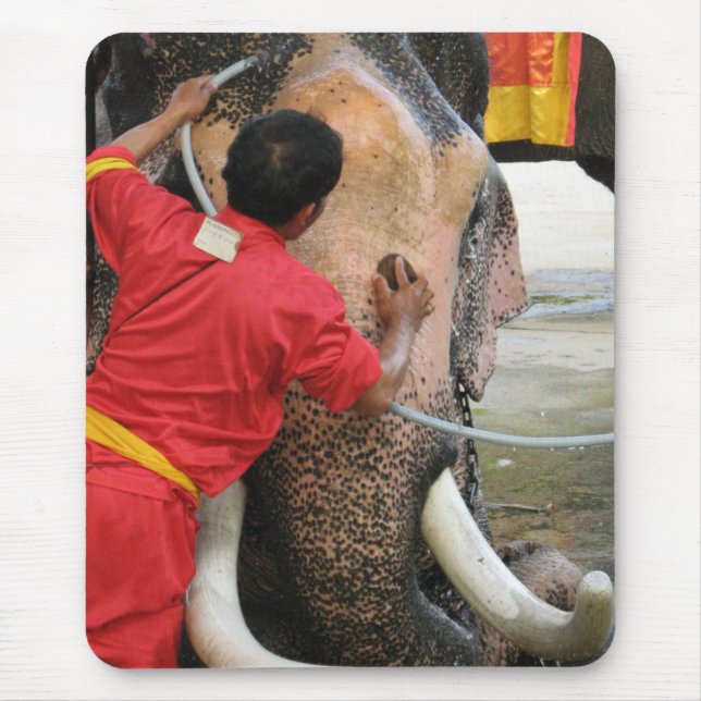Elephant Bathtime ... Ayutthaya, Thailand Mousepad (Vorne)