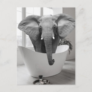 Elephant Bathtub Schwarz-weißes Bad Art Postkarte