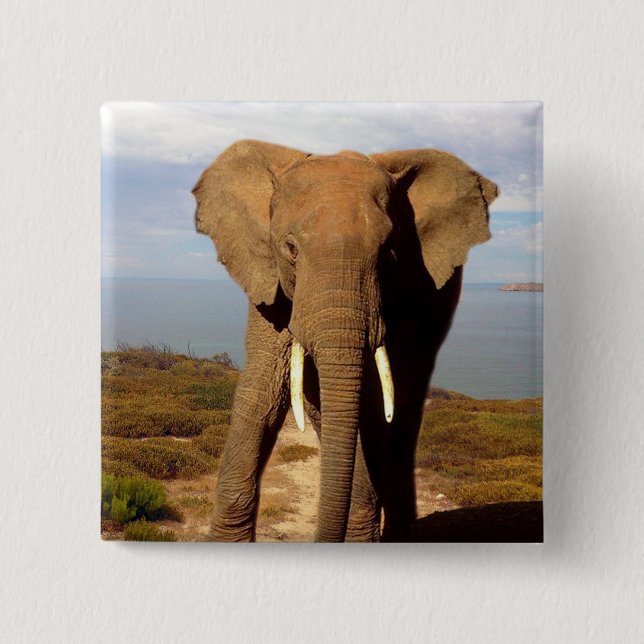 Elephant Beach Day Outing, Button (Vorderseite)