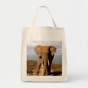 Elephant Beach Day Outing, Tragetasche