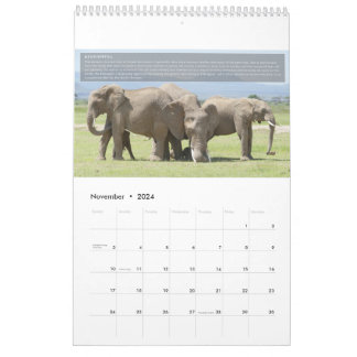 Elephant Behavior Calendar Kalender
