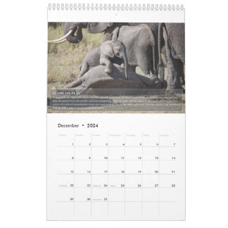 Elephant Behavior Calendar Kalender