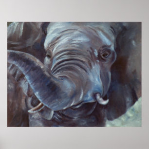 Elephant Big Boy Poster