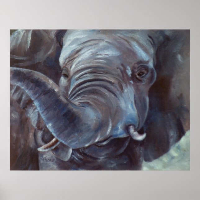 Elephant Big Boy Poster (Vorne)