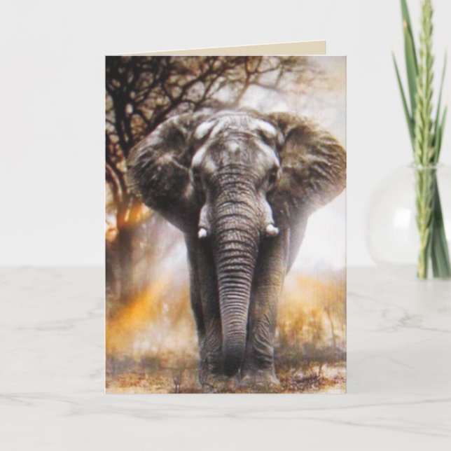 Elephant Birthday Card Karte (Vorderseite)