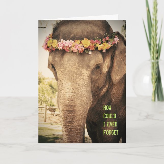 Elephant Birthday Card Karte (Vorderseite)