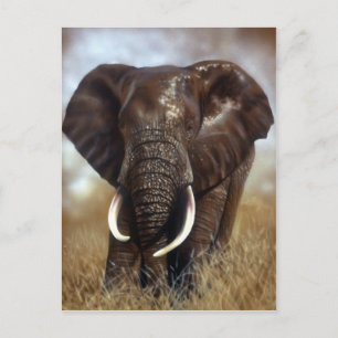 Elephant Bull Prints Postkarten